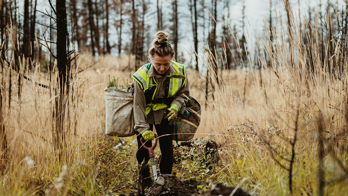     Tetra Pak commits to taking action for nature