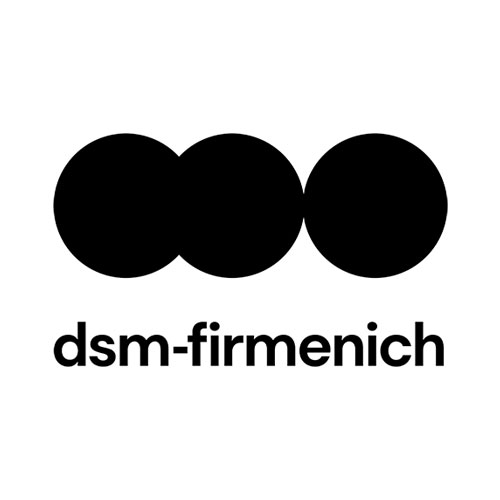     DSM N.V.