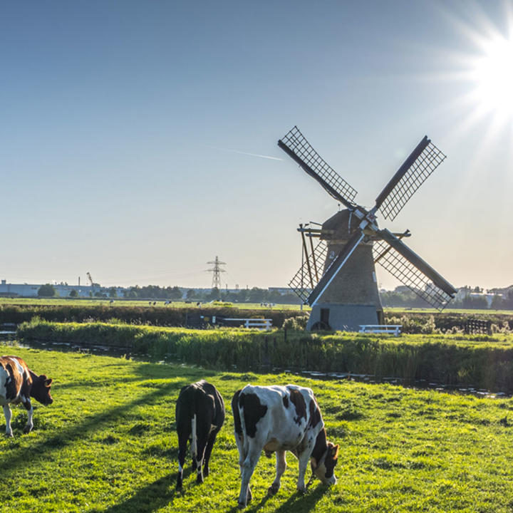 Friesland Campina - Biodiversity Monitor and Foqus Planet